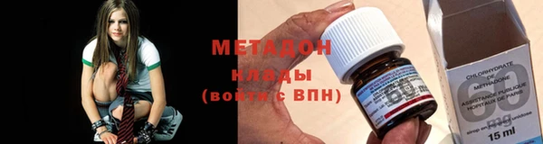прущие грибы Аркадак