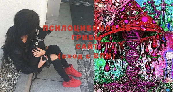 MDMA Premium VHQ Белокуриха